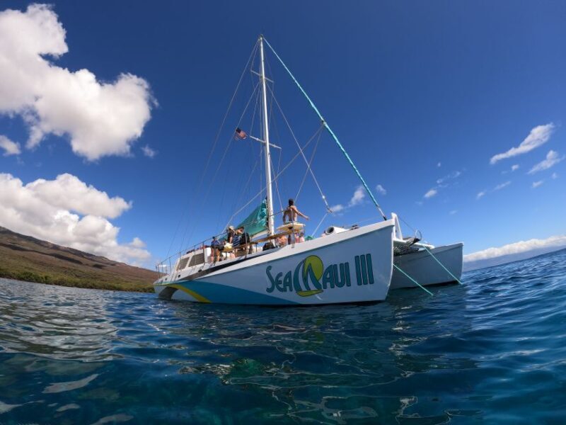 From Ka'anapali: West Maui Half-Day Snorkel Tour w/ Food - Key Points