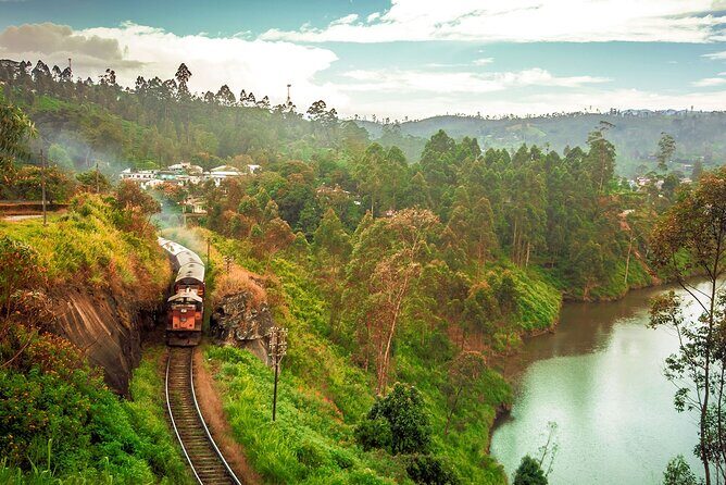 From Kandy: First Class Scenic Train Ticket To Ella - Who Should Consider This Tour?