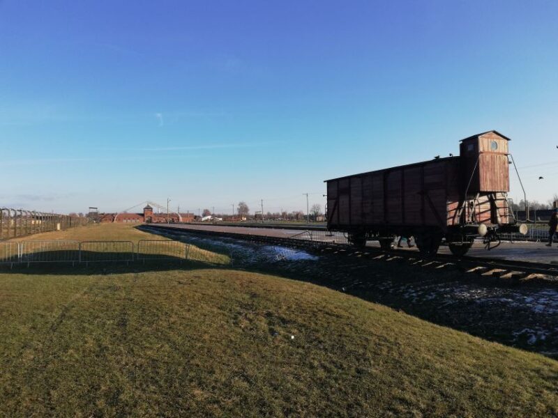 From Katowice: Auschwitz-Birkenau Skip-the-Line Guided Tour - A detailed look at what to expect