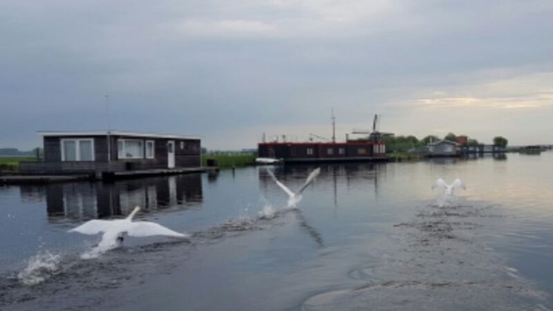 From Katwijk: Kaag Lakes Cruise - A Detailed Look at the Kaag Lakes Cruise