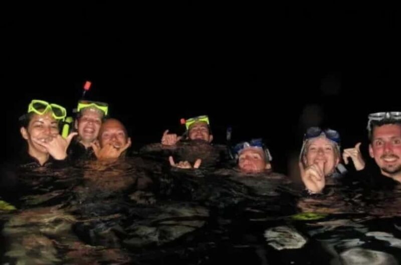 From Keauhou Bay: Manta Ray Night Tour - An In-Depth Look at the Keauhou Bay Manta Ray Night Tour