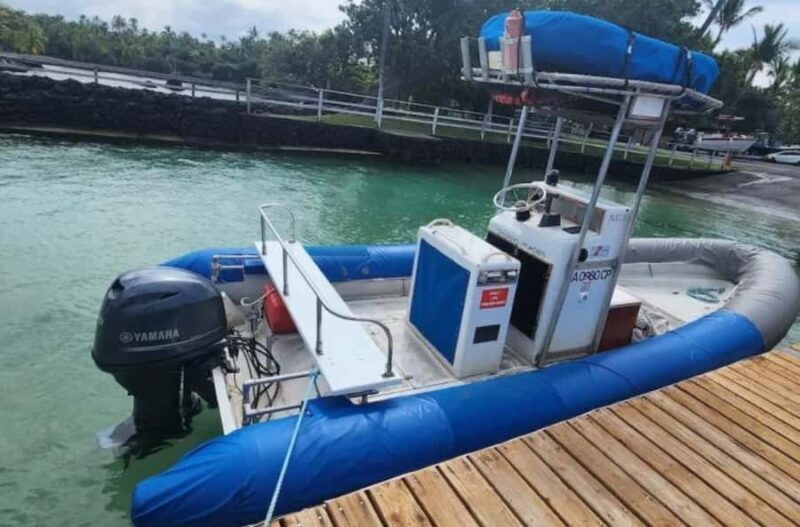From Keauhou Bay: Manta Ray Night Tour - Who Will Love This Tour?