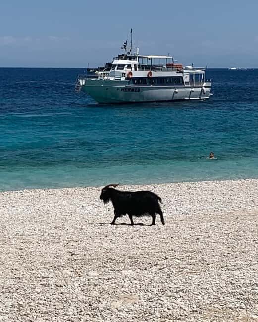 From Kefalonia: Ihaca boat tour with swimming - An In-Depth Look at the Tour Experience