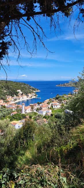 From Kefalonia: Ihaca boat tour with swimming - Who Will Love This Tour?