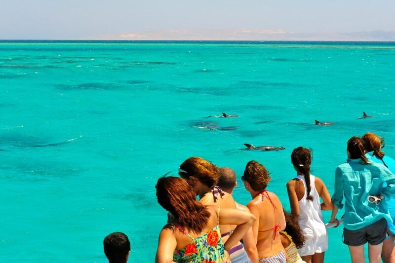 From Key West: Dolphin Watching Tour with Lunch & Drinks - The Itinerary in Detail