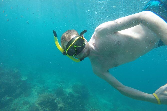 From Khao Lak : Phi Phi Islands Adventure Day Trip with Lunch - The Sum Up