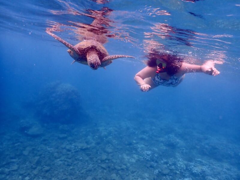 From Kihei: Molokini Crater and Turtle Town Snorkeling - Practical Tips and Considerations