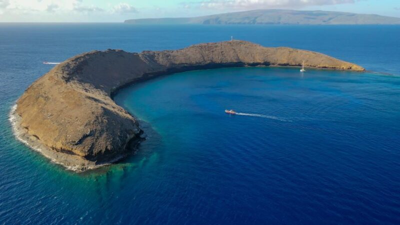 From Kihei: Molokini Crater and Turtle Town Snorkeling - Who Will Love This Tour