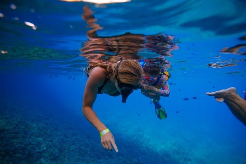 From Kihei: Molokini Crater and Turtle Town Snorkeling - FAQ