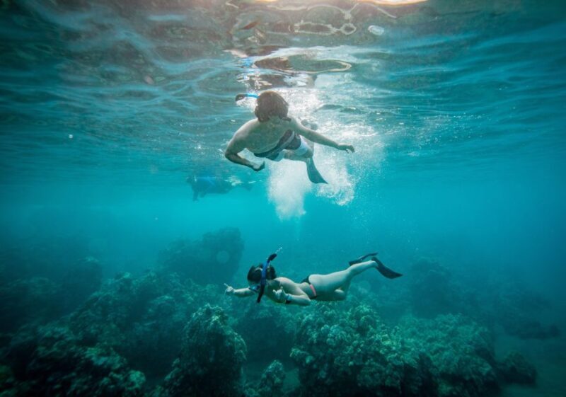 From Kihei: Molokini Snorkel 2-Hour Adventure - FAQ