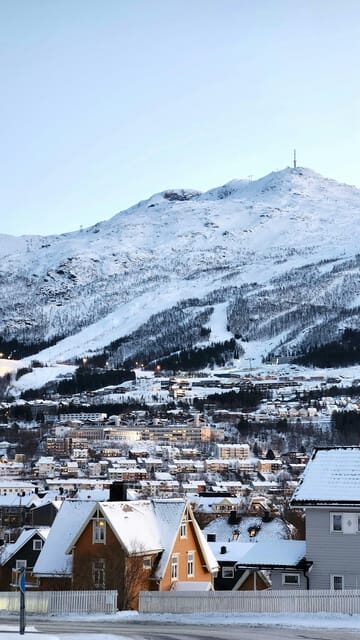 From Kiruna: Narvik City and Fjord Day Trip - An Overview of the Journey: What to Expect