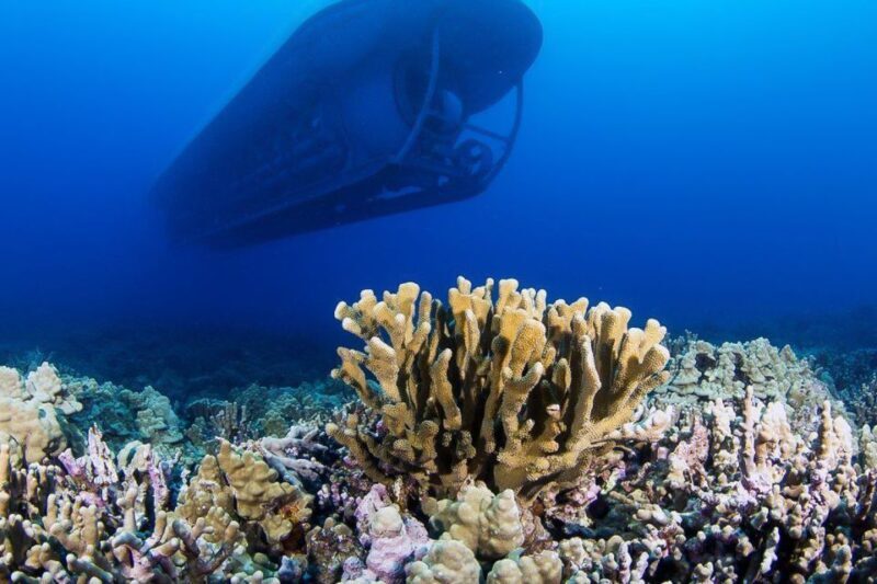 From Kona: Big Island Underwater Submarine Adventure - The Experience Overview