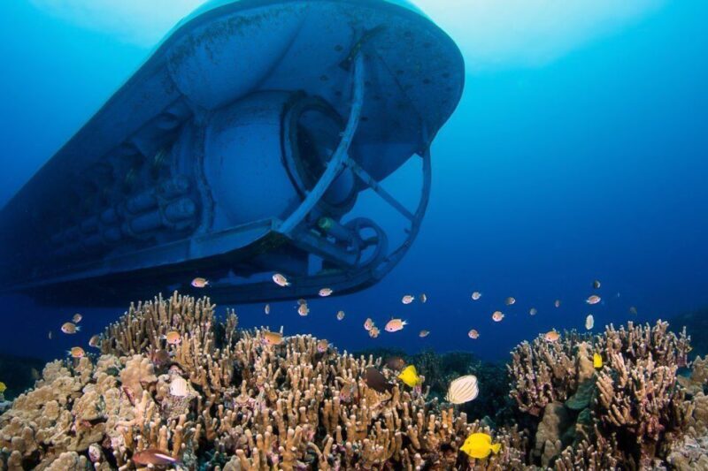 From Kona: Big Island Underwater Submarine Adventure - What You Will See