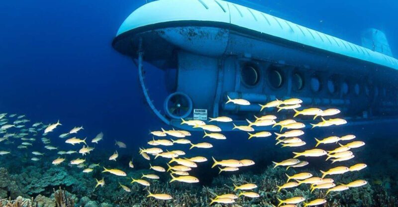From Kona: Big Island Underwater Submarine Adventure - The Underwater Time and Its Impact