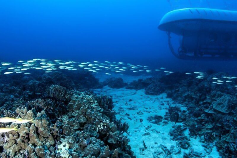 From Kona: Big Island Underwater Submarine Adventure - Practical Details and Value