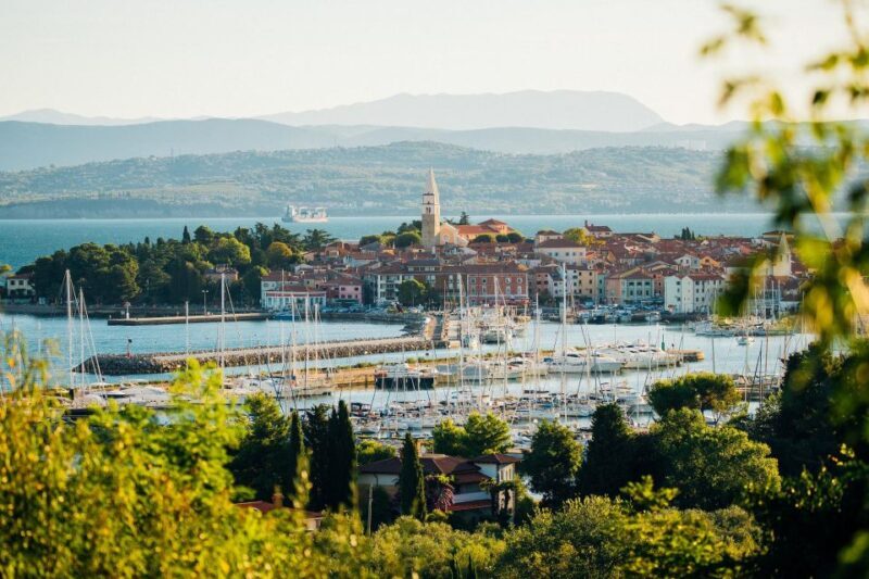 From Koper: Slovenian Riviera Bus Tour with Food Tastings - Key Points