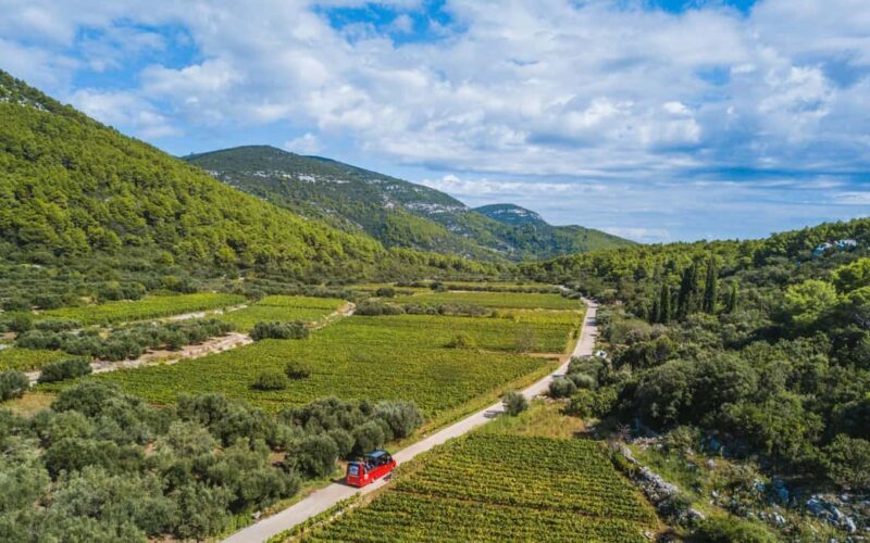 From Korcula Town: Local Wine & Sightseeing Half-Day Tour - Key Points