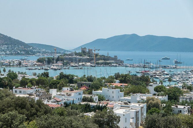 From Kos: Independent Day Trip to Bodrum - Who Is This Tour Best Suited For?