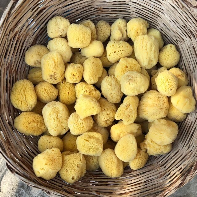 From Kos: Kalymnos Self-Guided Day Trip with Hotel Transfer - A Practical Guide to the Kalymnos Day Trip