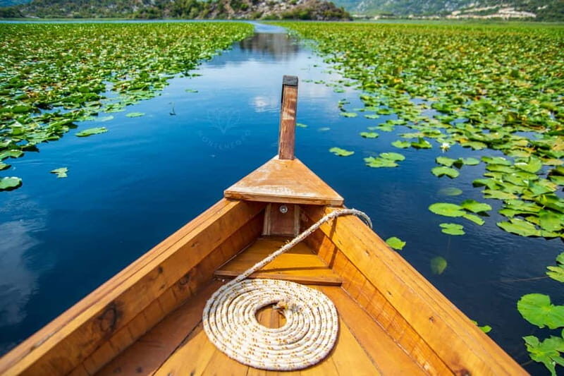From Kotor, Budva, Tivat: Skadar Lake Boat Tour & Wine - Why This Tour Is Worth Considering