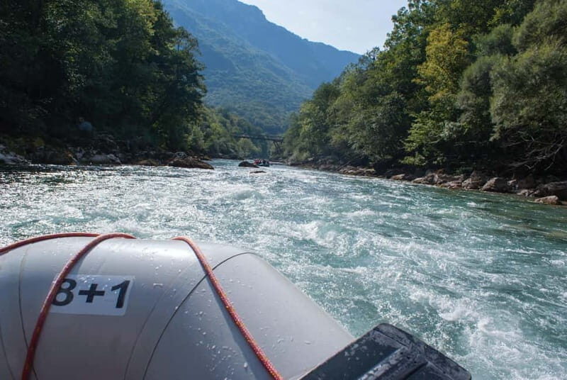 From Kotor: Montenegro Tara Rafting - Who Will Love This Tour?