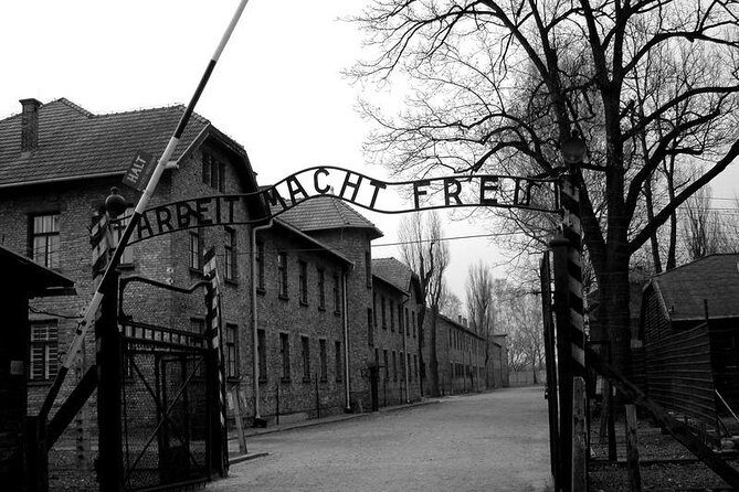 From Krakow: Auschwitz-Birkenau and Salt Mine with Private Transfer - The Experience Itself