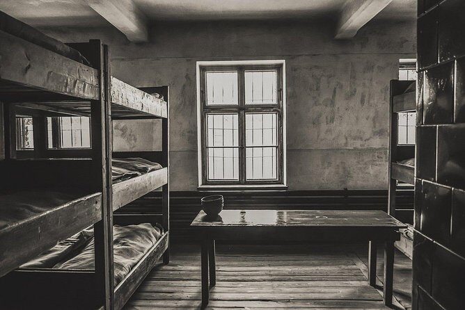 From Krakow: Auschwitz-Birkenau and Salt Mine with Private Transfer - Who Would Love This Tour?