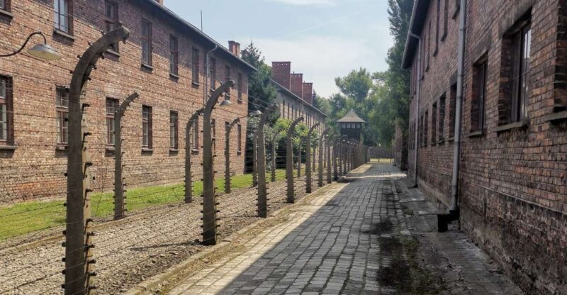 From Krakow: Auschwitz-Birkenau Camp Complex Guided Day Trip - An In-Depth Look at the Auschwitz-Birkenau Guided Day Trip