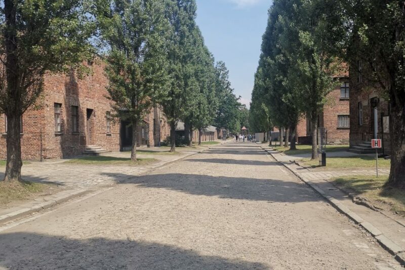 From Krakow: Auschwitz-Birkenau Camp Complex Guided Day Trip - FAQ