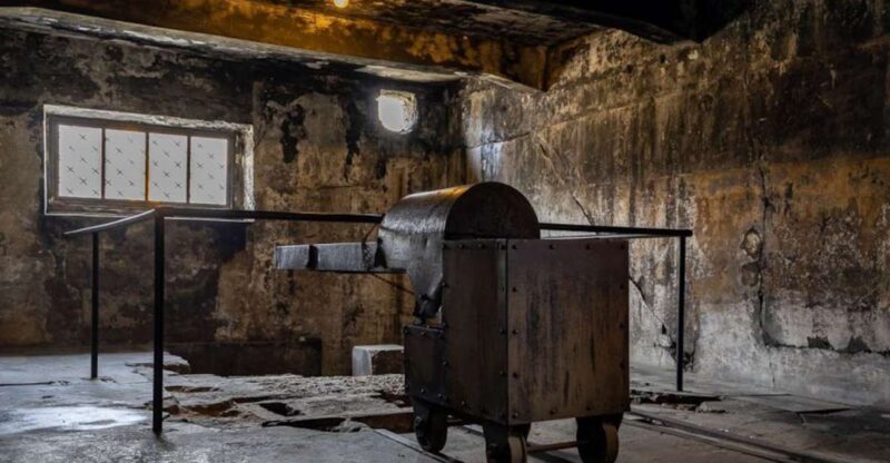 From Krakow: Auschwitz-Birkenau Full-Day Tour - An In-Depth Look at the Auschwitz-Birkenau Full-Day Tour