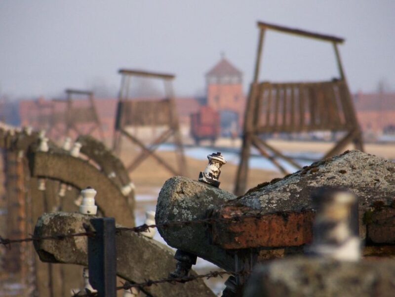 From Krakow: Auschwitz-Birkenau Guided Tour & Hotel Pickup - Reflecting on the Experience