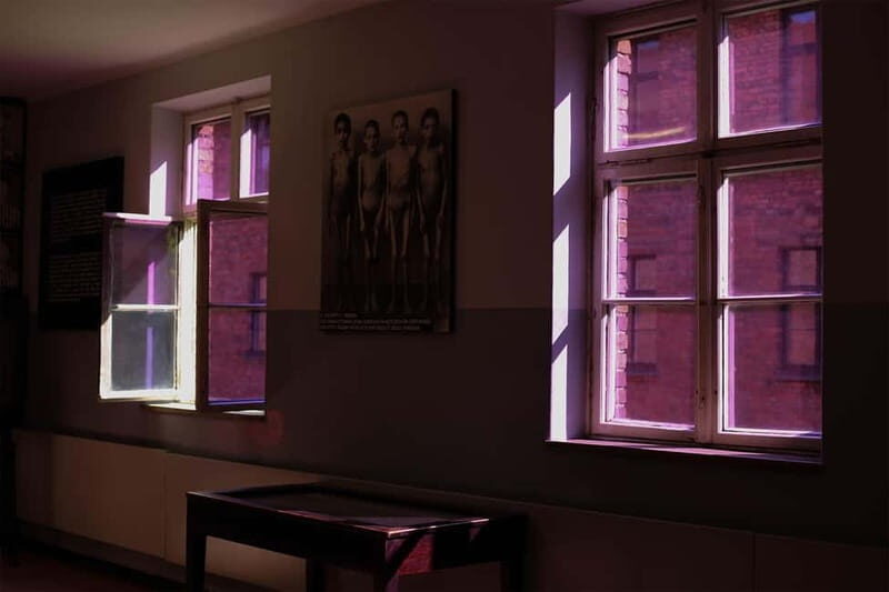 From Krakow: Auschwitz-Birkenau Guided Tour & Pickup Options - A Complete Look at the Auschwitz-Birkenau Guided Tour from Krakow