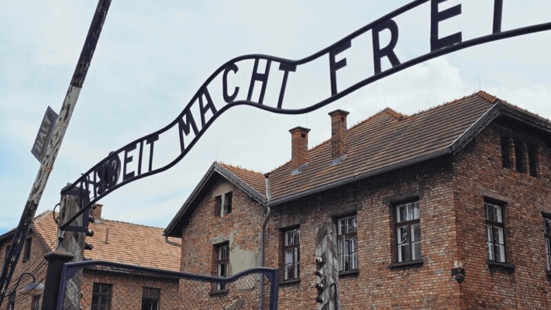 From Krakow: Auschwitz-Birkenau Guided Tour, Several Options - Key Points
