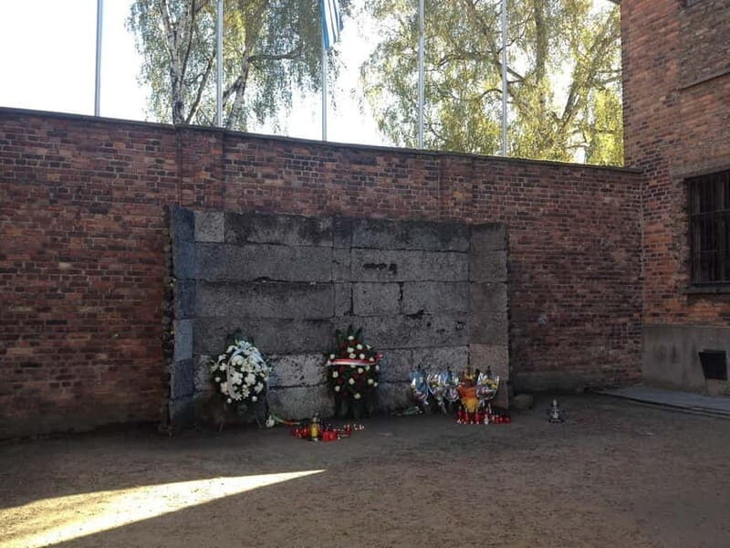 From Krakow: Auschwitz-Birkenau Memorial and Museum Tour - Key Points