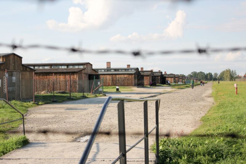 From Kraków: Auschwitz-Birkenau Memorial Guided Tour - An In-Depth Look at the Auschwitz-Birkenau Guided Tour from Krakow