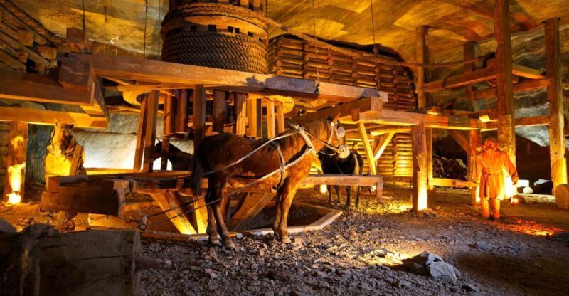 From Krakow: Auschwitz-Birkenau & Salt Mines with Lunch - Who Will Love This Tour?