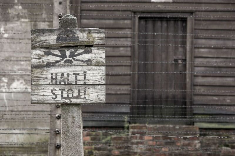 From Krakow: Auschwitz-Birkenau & Schindler's Factory Tour - Things to Consider