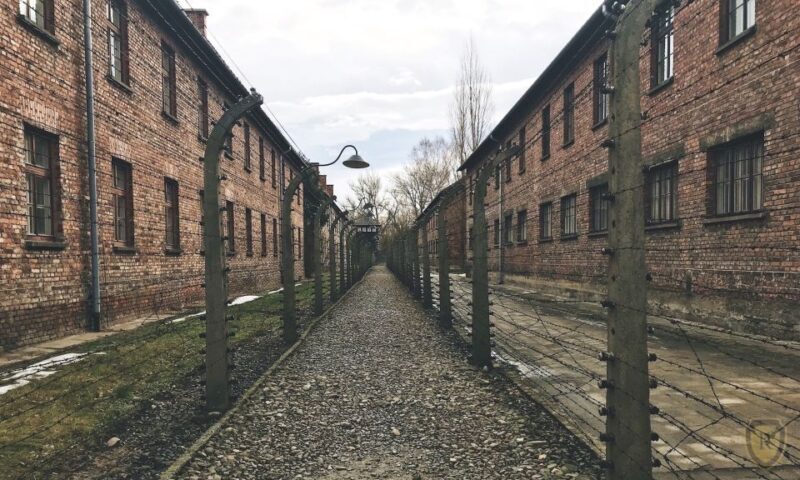 From Krakow: Auschwitz Birkenau Self-Guided Tour - Final Thoughts