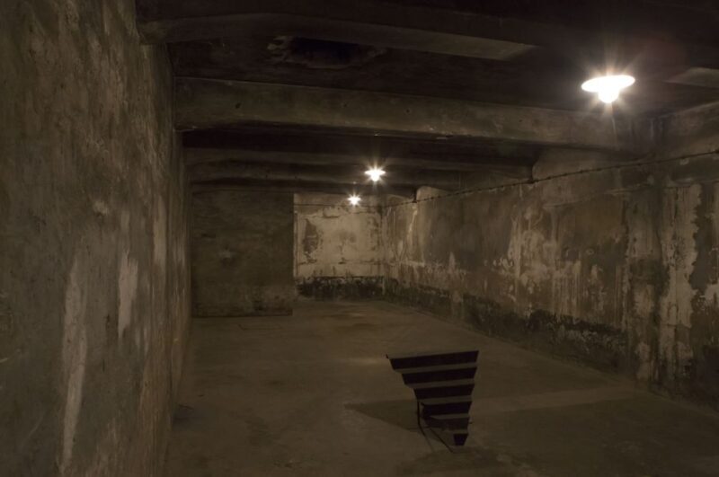 From Krakow: Auschwitz-Birkenau Tour - What Travelers Say: Authentic Feedback from Reviews