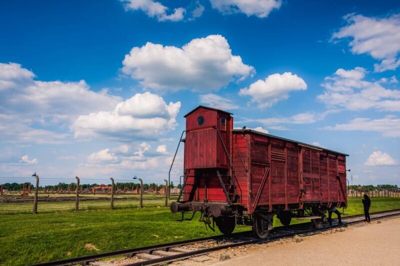 From Krakow: Auschwitz-Birkenau Tour with Transportation - Key Points