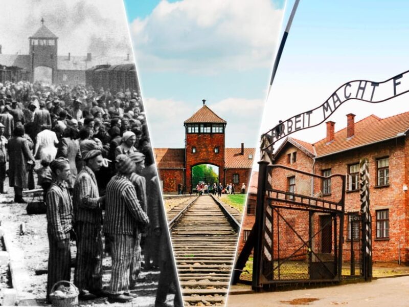 From Krakow: Auschwitz-Birkenau Tour with Transportation - The Practicalities and Value