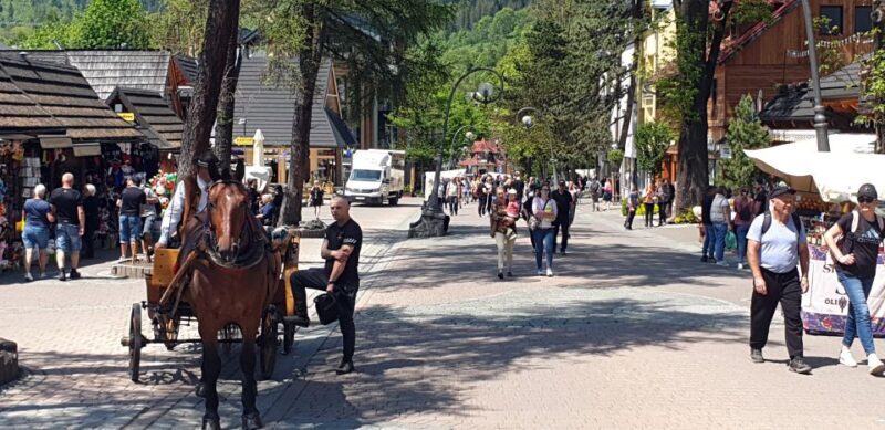 From Krakow: Day Tour of Zakopane and Tatra Mountains - Return Journey and Reflection