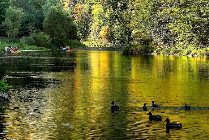 From Krakow: Dunajec River Rafting in Pieniny Mountains - The Highlights of the Experience