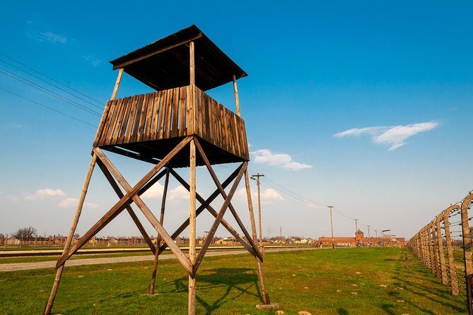 From Krakow: Live Guided Tour Auschwitz-Birkenau - Who Should Consider This Tour?