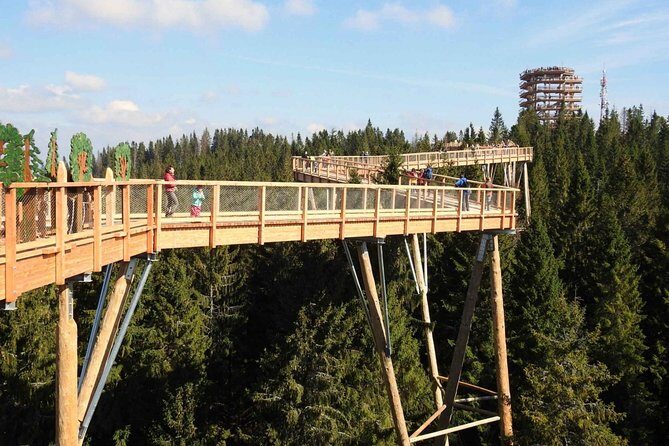 From Krakow: Morskie Oko in the Tatra Mountains and Slovakia Treetop Walk - An In-Depth Look at the Experience