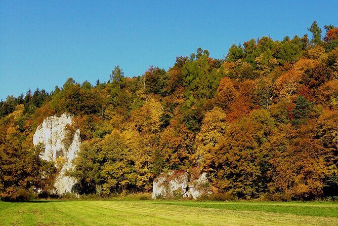 From Krakow: Ojcow National Park and Pieskowa Skala Castle - What Travelers Are Saying