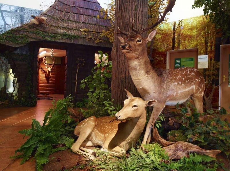 From Krakow: Pszczyna Castle and Bison Reserve Day Trip - Who Is This Tour Best For?