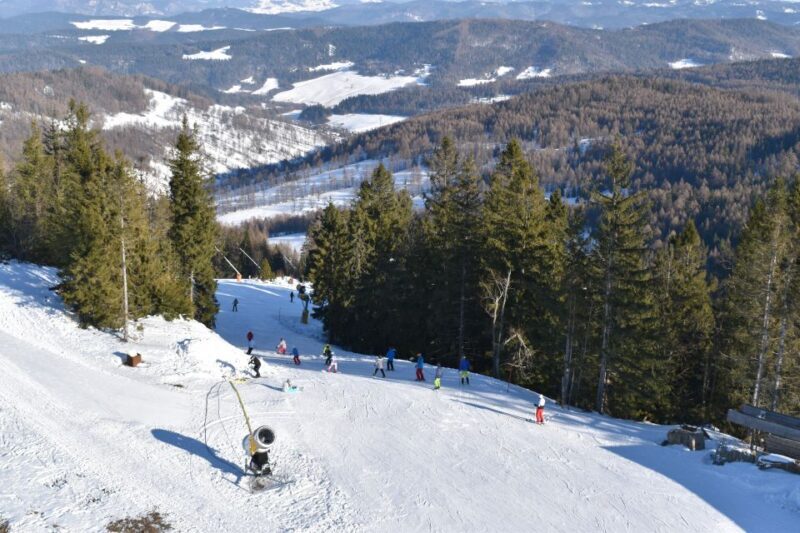 From Kraków: Slovakia Treetop Walk & 4-Hour Ski Pass - Key Points