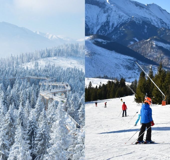 From Kraków: Slovakia Treetop Walk & 4-Hour Ski Pass - The Sum Up