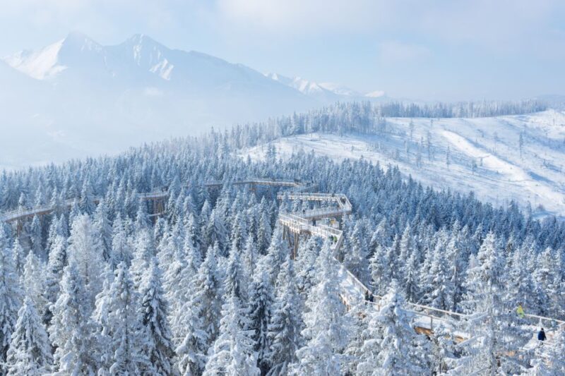 From Kraków: Slovakia Treetop Walk & 4-Hour Ski Pass - FAQ